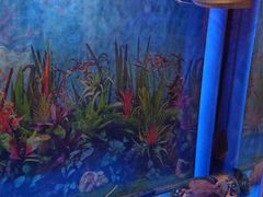 -宜华康盲人按摩(中关村店)