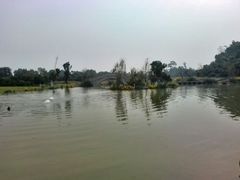 android_upload_pic-张坝桂圆林公园