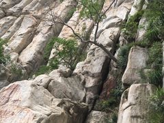 -嵩山少林文化旅游景区