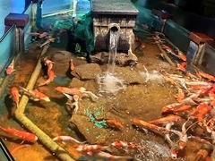 -太平洋海底世界