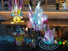 -苏州味道(阳澄湖服务区店)