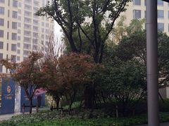 -仁恒西郊花园