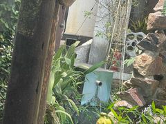 -水岸居湖景农家乐·阳澄湖大闸蟹
