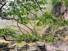 -宁波五龙潭景区