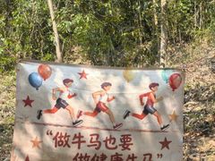 -广州白江湖森林公园