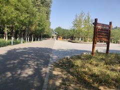 -东郊湿地公园