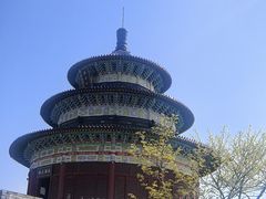 -黄贤森林公园
