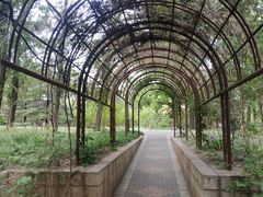 -国家植物园南园