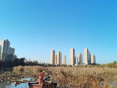 -前关湿地公园