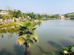 -枫香湖儿童公园