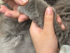-联合动物医院(光谷诊疗中心)