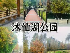 -沐仙湖湿地公园