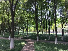 -后襄河公园