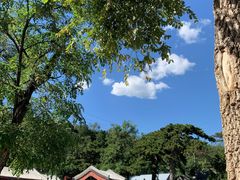 -阳台山自然风景区