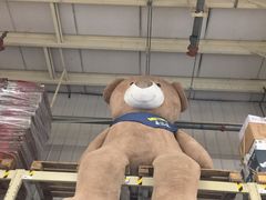 店内环境-麦德龙(郑东店)