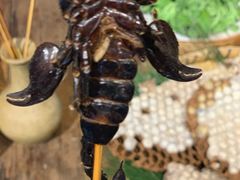 -昆虫窝子·特色云南菜(拓东路总店)