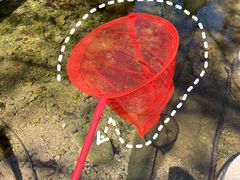 -洛阳白云山景区