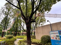 -宁波儿童公园(鄞州区)