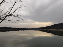 -羊山湖公园
