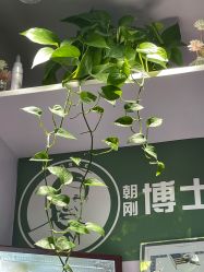 -博士园养发馆