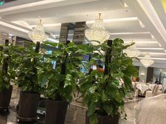 -万龙洲海鲜(大兴绿地缤纷城店)