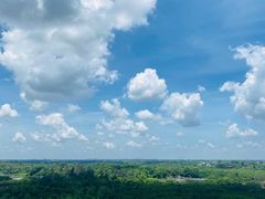 -东寨港红树林旅游区