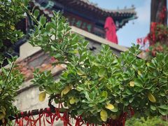-济南大明湖景区