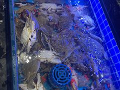 -五月罗马海鲜烤肉自助餐厅(印象城店)