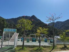 -南丹山森林王国