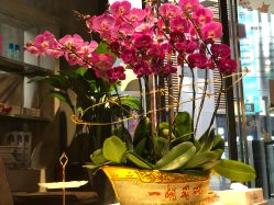 -Kraemer Paris  苏豪路易士·嘉玛发廊