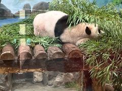-杭州动物园