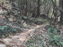 -杭州半山国家森林公园