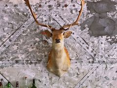 -鹿萤季·营地小馆(皇后公园店)