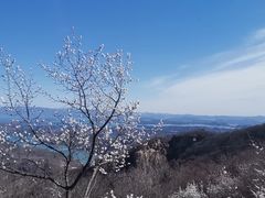 -北京密云天门山风景区