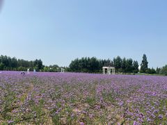 -渔岛海洋度假区