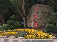-野狸岛