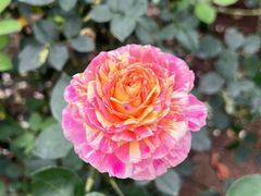 -人民公园(罗湖区)