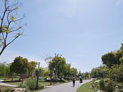 -上海长兴岛郊野公园