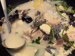 -老淳安—伴山伴湖(千岛湖开元度假村店)