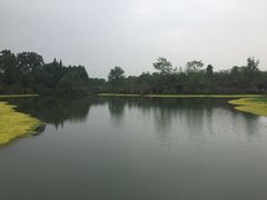 -桤木河湿地公园