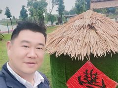 -洪湖湿地生态园