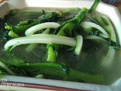 -荔枝红五号农庄