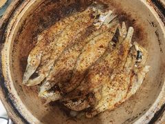 -天天鱼港·海鲜·鲅鱼水饺·招牌烤鸭(黄骅店)