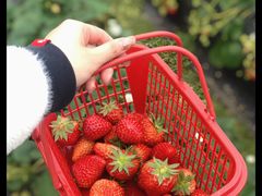 -洋湖国家湿地公园