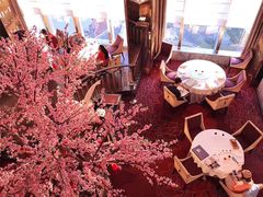 -金轩中餐厅 Jin Xuan(浦东丽思卡尔顿酒店)