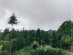 -梭布垭石林景区