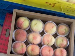 -老袁家蜜桃农场·阳山水蜜桃