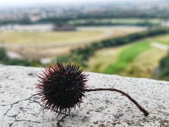-平湖九龙山旅游度假区