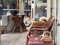 -餐酒吧Com-ing Bar(上海路店)