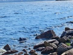 -深圳湾公园(南山区)